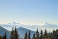 Beautiful winter panorama. Landscape with spruce pine trees, blu Royalty Free Stock Photo