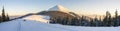 Beautiful winter panorama. Landscape with spruce pine trees, blu Royalty Free Stock Photo