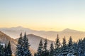 Beautiful winter panorama. Landscape with spruce pine trees, blu Royalty Free Stock Photo