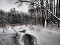 Beautiful winter panorama with snowfall.