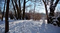 Winter landscape, Winter trees covered with snow. Royalty Free Stock Photo