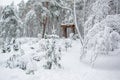 Beautiful winter park. Trees covered with fresh snow. Wood alcove on background