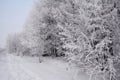 Beautiful winter road with covered snow and hoarfrost forest trees Royalty Free Stock Photo