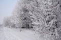 Beautiful winter road with covered snow and hoarfrost forest trees