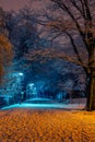 Beautiful winter scene of an alley in the park covered in snow Royalty Free Stock Photo