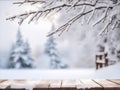 Christmas winter background with frosty pine tree for product display Royalty Free Stock Photo