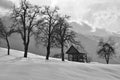 Beautiful winter scene in black and white Royalty Free Stock Photo