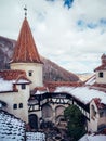 Beautiful winter scene featuring the Bran castle in Romania and a small evergreen tree Royalty Free Stock Photo