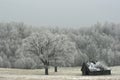 Beautiful winter scene with oak trees and a barn and forest in the background Royalty Free Stock Photo