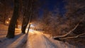 Beautiful winter scene in the park