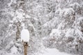 Beautiful winter scene - wooden bird feeder with a tall cap of s