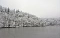 Beautiful winter scenery of the Bear Lake in the Sovata resort, Romania with trees covered by snow