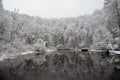 Beautiful winter scenery of the Bear Lake in the Sovata resort, Romania with trees covered by snow