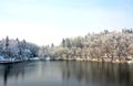 Beautiful winter scenery of the Bear Lake in the Sovata resort, Romania with trees covered by snow