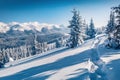 Bright outdoor scene of mountain valley. Fir trees covered by fresh snow in Carpathian mountains. Royalty Free Stock Photo