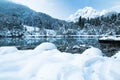 Beautiful winter scenery on pure lake Zelenci in cold sunrise, Kranjska Gora, Slovenia