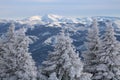 Winter scenery in the sunny day. Mountain landscapes. Trees covered with white snow, lawn and blue sky Royalty Free Stock Photo