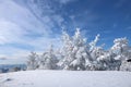 Winter scenery in the sunny day. Mountain landscapes. Trees covered with white snow, lawn and blue sky Royalty Free Stock Photo