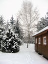 Beautiful winter scenery. Trees covered in snow and wooden house. Royalty Free Stock Photo