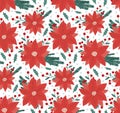 Beautiful winter season floral seamless pattern background with poinsettia - red Christmas star flower, fir tree branch and holly Royalty Free Stock Photo