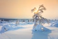 Beautiful Winter Sundown - Northern Nature Landscape