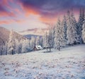 Beautiful winter sunrise in Carpathian mountains with snow cower