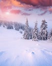 Beautiful winter sunrise in mountain forest.