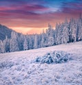 Beautiful winter sunrise in mountain forest Royalty Free Stock Photo