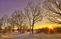 Beautiful winter sunset Royalty Free Stock Photo