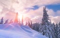 Beautiful winter sunset Royalty Free Stock Photo