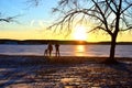 Beautiful winter sunset on a background of a frozen lake. Winter arrives, bodies of water freeze over, People walk on ice of the