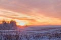 Beautiful winter sunset. The first snow in the fields at sunset. Royalty Free Stock Photo