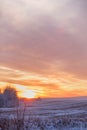 Beautiful winter sunset. The first snow in the fields at sunset. Royalty Free Stock Photo