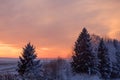 Beautiful winter sunset. The first snow in the fields at sunset. Royalty Free Stock Photo