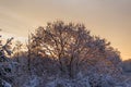 Beautiful winter sunset. The first snow in the fields at sunset. Royalty Free Stock Photo