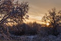 Beautiful winter sunset. The first snow in the fields at sunset. Royalty Free Stock Photo