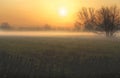 Beautiful Winter Sunset, Gelderland, Netherlands