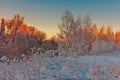 Beautiful winter sunset Royalty Free Stock Photo