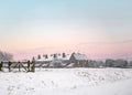 Beautiful winter sunset over row of old houses in countryside with deep snow and glowing sky. Snowy scene as sunrise at dawn pink. Royalty Free Stock Photo