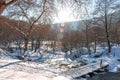 Beautiful winter sunset with trees in the snow Royalty Free Stock Photo