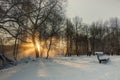 Beautiful winter sunset with trees in the snow Royalty Free Stock Photo