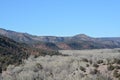 Beautiful winter view of the Cottonwood Trees and valley at Carrizo in the Salt River Canyon, Gila County, Apache Indian Reservati