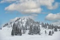 Beautiful winter view.Hill with snow-covered fir trees in the mountains and beautiful sky