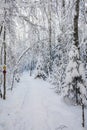 Beautiful winter view, path in the winter forest, Meiko recreation area, Kirkkonummi, Finland