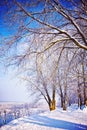 Beautiful winter view on snow-covered park instagram stile