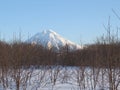 Beautiful winter volcanic landscape of Kamchatka Peninsula: view of eruption active Klyuchevskoy Volcano at sunrise. Eurasia,