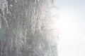 Beautiful winter white snowy with snow on tree branches. Christmas. Royalty Free Stock Photo