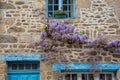 Wisteria on a cottage wall in rural France Royalty Free Stock Photo