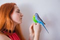 The beautiful woman admires her beautiful parrots Royalty Free Stock Photo