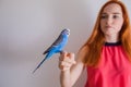 The beautiful woman admires her beautiful parrots Royalty Free Stock Photo